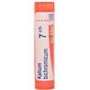 Boiron Kalium Bichromicum 7 Ch 80 Granuli 4 g