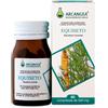 Arcangea Equiseto Integratore Alimentare 60 Compresse 500 Mg