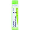 Boiron Kalium Phosphoricum 5 Ch 80 Granuli 4 g