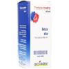 Boiron Betula Alba (Verrucosa) Tm 60 Ml