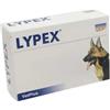 Vetplus Lypex 60 Capsule