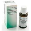 Heel Berberis Homaccord Gocce 30 Ml
