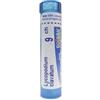 Boiron Lycopodium Clavatum 9 Ch 80 Granuli 4 g