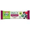 Enervit Enerzona Balance Snack Crunchy Berries Barretta Da 33 g