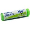 Boiron Ledum Palustre 200 Ch Globuli Dose
