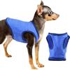 Generico Gilet rinfrescante per cani, gilet estivo per cani, Gilet rinfrescante traspirante ad asciugatura rapida, Abbigliamento per animali domestici impermeabile alla moda, vestiti comodi per animali domesti