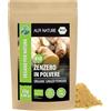 Alpi Nature Zenzero in Polvere BIO 25g, Polvere di Radice di Zenzero Essiccata e Macinata per Cucina