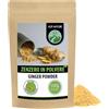 Alpi Nature Zenzero in Polvere 100g, Radice di Zenzero Essiccata e Macinata per Cucina