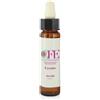 Cemon Cfe Fiori Di Bach Cerato 10ml