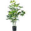 DRW Pianta artificiale schefflera in PU in verde 20x20x90 cm