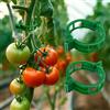 DARENYI 100 Pezzi Clip per Piante, Clip di Sostegno per Piante, Giardino Piante Clip di Supporto, Pomodoro Verdure Clip di Fissaggio, Supporto per Piante per Pomodori, UVA, Peperoncino, Melanzane