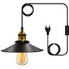 Wrpacttg Lampadario industriale vintage retrò lampadario, lampada da soffitto vintage con presa a sospensione industriale con interruttore 4.5 m, spina in sospensione, attacco E27 per bar caffè(4.5 M)
