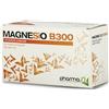 PHARMASI' SRL MAGNESIO B 300 30BUST