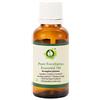 R V Essential Puro Eucalipto Essenziale Olio 100ml (3.38oz)- Eucalyptus globulus (100% Puro e Naturale Steam Distilled) Pure Eucalyptus Essential Oil