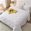 WAVVE Piumino Matrimoniale Premium Quattro 4 Stagioni 240x260 cm, Piumone Matrimoniale Invernale/Autunnale 260x240 - Coperta Trapunta 240 x 260 in Microfibra Sintetico, Bianco