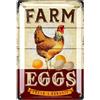 LANOLU Targa in metallo vintage con gallina, uova di fattoria, decorativa, regalo per amanti dei polli, 30,5 x 20,3 cm