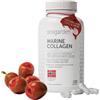 SEAGARDEN Capsule di Collagene Marino Norvegese con Vitamina C [120 Capsule/30 Dose] 2kDa, Tipo 1, 20 Aminoacidi, Merluzzo Selvaggio, Integratore Alimentare per Donne & Uomini, Pelle, Articolazioni e Capelli