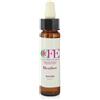 Cemon Cfe Fiori Di Bach Heather 10ml