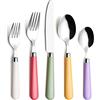 ANNOVA Silverware Set 20 Pieces Stainless Steel Cutlery Color Handle Flatware (20 Pieces, Mix Color)