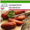 SAFLAX - Pomodoro San Marzano - 10 semi - Con substrato - Lycopersicon esculentum