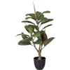 BigBuy Home Pianta ornamentale Polietilene Ferro PEVA Quercia 76 cm