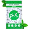PUR Gum | Gomma Da Masticare Senza Zucchero | 100% Xilitolo | Vegana, Senza Aspartame, Senza Glutine e Amica dei Diabetici | Gomma Naturale Al Sapore Di Spearmint, 55 Pezzi (Confezione da 1)