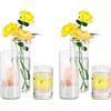 Hewory Vasi Cilindrici in Vetro Set di 6 Vaso Alto in Vetro Trasparente per Fiori, Portacandele a Uragano per Candele Galleggianti a Colonna,Vaso per Fiori per Centrotavola per Matrimonio,10/15/20cm