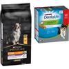 Pro Plan Purina Pro Plan crocchette per cani + Dentalife Snack gratis! - 14 kg Medium & Large Adult 7+ Age Defence Crocchette per cani + Snack per igiene dentale dei cani di tg media (12 - 25 kg) 24 Stick (8 x 69 g)