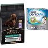 Pro Plan Purina Pro Plan crocchette per cani + Dentalife Snack gratis! - 7 kg Small & Mini Adult Sensitive Digestion senza cereali + 60 Stick (20 x 49 g) per cani di tg piccola (7-12 kg)