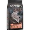briantos Prezzo speciale! 12/14 kg Briantos Crocchette per cani - Light/Sterilised (Senza Cereali) 12 kg
