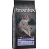 briantos Prezzo speciale! 12/14 kg Briantos Crocchette per cani - Anatra (Senza Cereali) 12 kg
