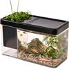 Generisch Piccolo acquario, piccolo acquario, piccolo acquario trasparente, organizer da scrivania per gamberetti, letti e piccoli habitat di granchi