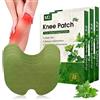 Vegena 72 Pezzi Cerotti Dolori Ginocchio, Patch per Sollievo dal Dolore, Cerotti Dolori Muscolari e Articolari per Ginocchia, Schiena, Collo, Dolori Muscolari