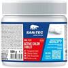 Sanitec Detergente in pastiglie al cloro attivo Active Chlor Tablet Sanitec 500 g 2122