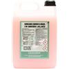 Ecochem Detersivo lavalana liquido a mano e in lavatrice L.M.L.3024 Ecochem 5 L 1130240L0051149