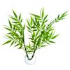Zoo Med Laboratories AZMBP22 Betta Plant Bamboo