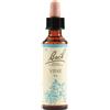 SCHWABE PHARMA ITALIA Srl Vine - Fiore di Bach Originale n°32 - 20 ml