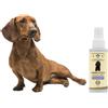 101 love for pet Shampoo a Secco Naturale per Cani - Lavaggio Senza Bisogno di Acqua o Risciacquo - Ingredienti di Origine Vegetale - per Tutti i Tipi di Pelo, Linea 101 (100ml)