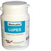 Melcalin Lupes 56 Capsule