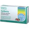 Teva Cysberry Teva 20 Compresse Teva