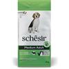 Schesir Dog Adult Medium Maintenance Agnello - 12 Kg Monoproteico crocchette cani Croccantini per cani
