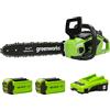 Greenworks GD40CS15K2X Motosega a Batteria con Motore Brushless, Lunghezza Barra 14 Pollice (35cm), Velocità Catena 12m/s, 3,5kg, Auto-Lubrificante, 2 Batterie da 40V 2Ah e caricabatterie