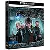 Warner Bros Animali Fantastici E I Crimini Di Grindelwald (4K Ultra-HD+Blu-Ray)