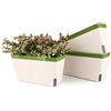 T4U Vasi per Piante Autoirrigazione Rettangolare 27CM Set di 3, Vaso per Piante in Plastica con Finestrella a Livello Visivo Interno Decorativo Vaso Bonsai Fiore Giardino per Aloe, Erba e Orchidea