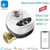 eWeLink Valvola a sfera Automatizzata Smart WiFi Compatibile con eWeLink