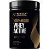 SELF OMNINUTRITION 100% MICRO WHEY ACTIVE 1 KG Biscotto