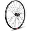 Gurpil Ruota Posteriore Da Mtb Alpha 29´´ 6b Disc Tubeless