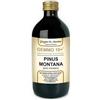 DR.GIORGINI SER-VIS Gemmo 10+ Gemmoderivato Concentrato Liquido Analcolico Pinus Montana Pino Montano 500ml