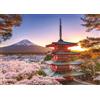 Ravensburger 12000582 - Ciliegi in fiore e Monte Fuji - puzzle 1000 pezzi - puzzle adulti e ragazzi da 14 anni,