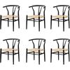 EGOONM Set di 6 sedie da sala da pranzo moderne della metà del secolo, sedie aggiuntive, sedie da sala da pranzo in rattan, sedie con gambe in metallo (nero)